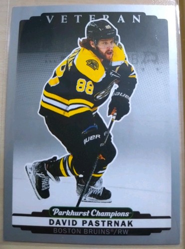 David pastrnak silver - silver, sp