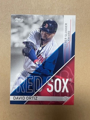 Inserto david ortiz 2017 - ~,