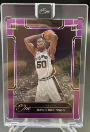 David robinson 2023 panini - david, 2023-24