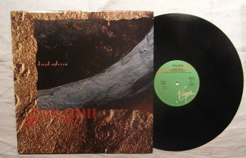 David sylvian silver - ,